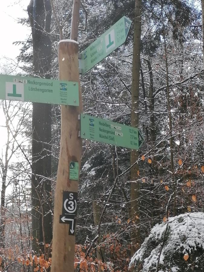 Desire Villa Heidelberg Eksteriør billede